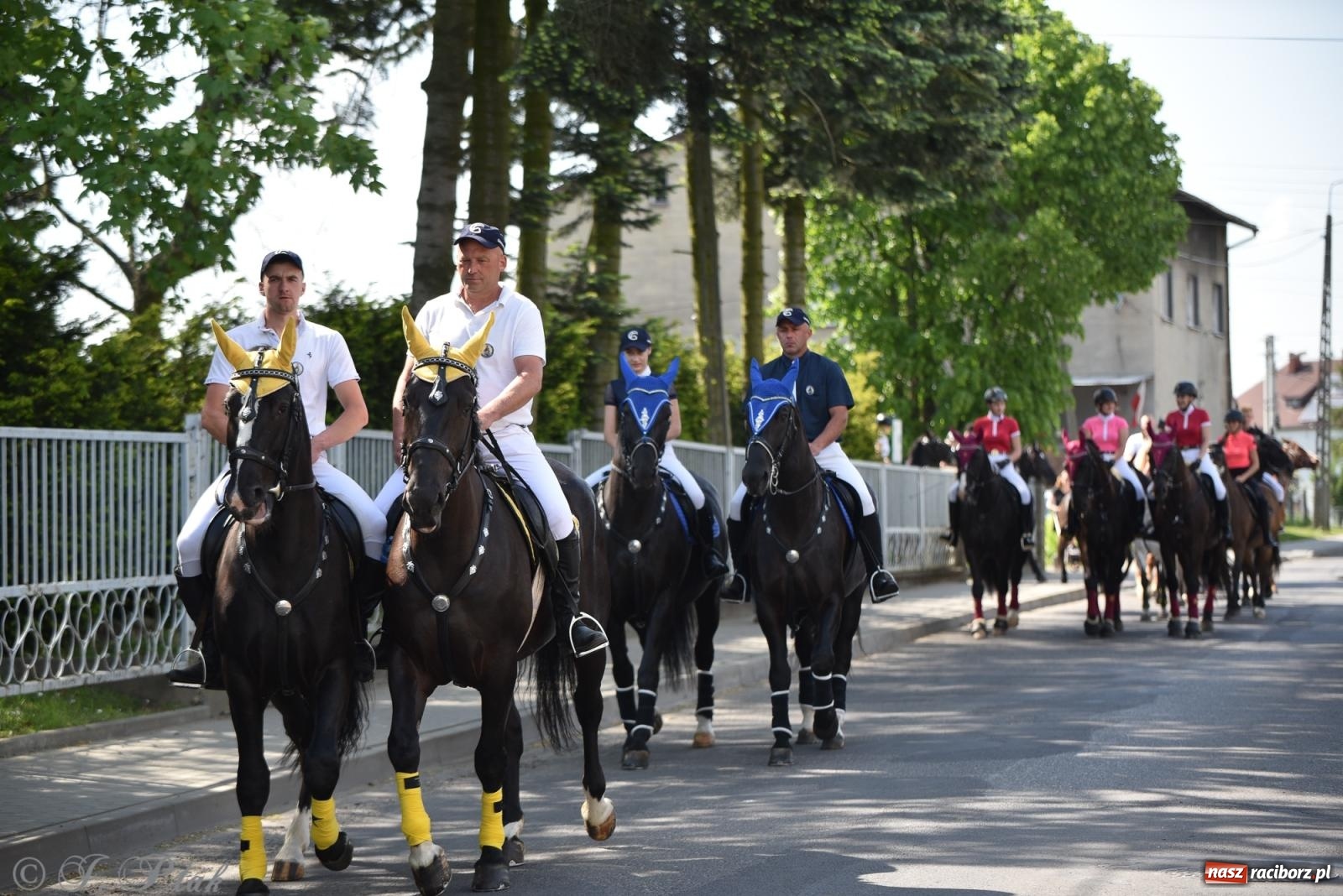 Zdjęcie w galerii na portalu naszraciborz.pl: Na pamiątkę wielkiego gradobicia. 147. procesja w Pogrzebieniu [FOTO i WIDEO] wiadomości z regionu