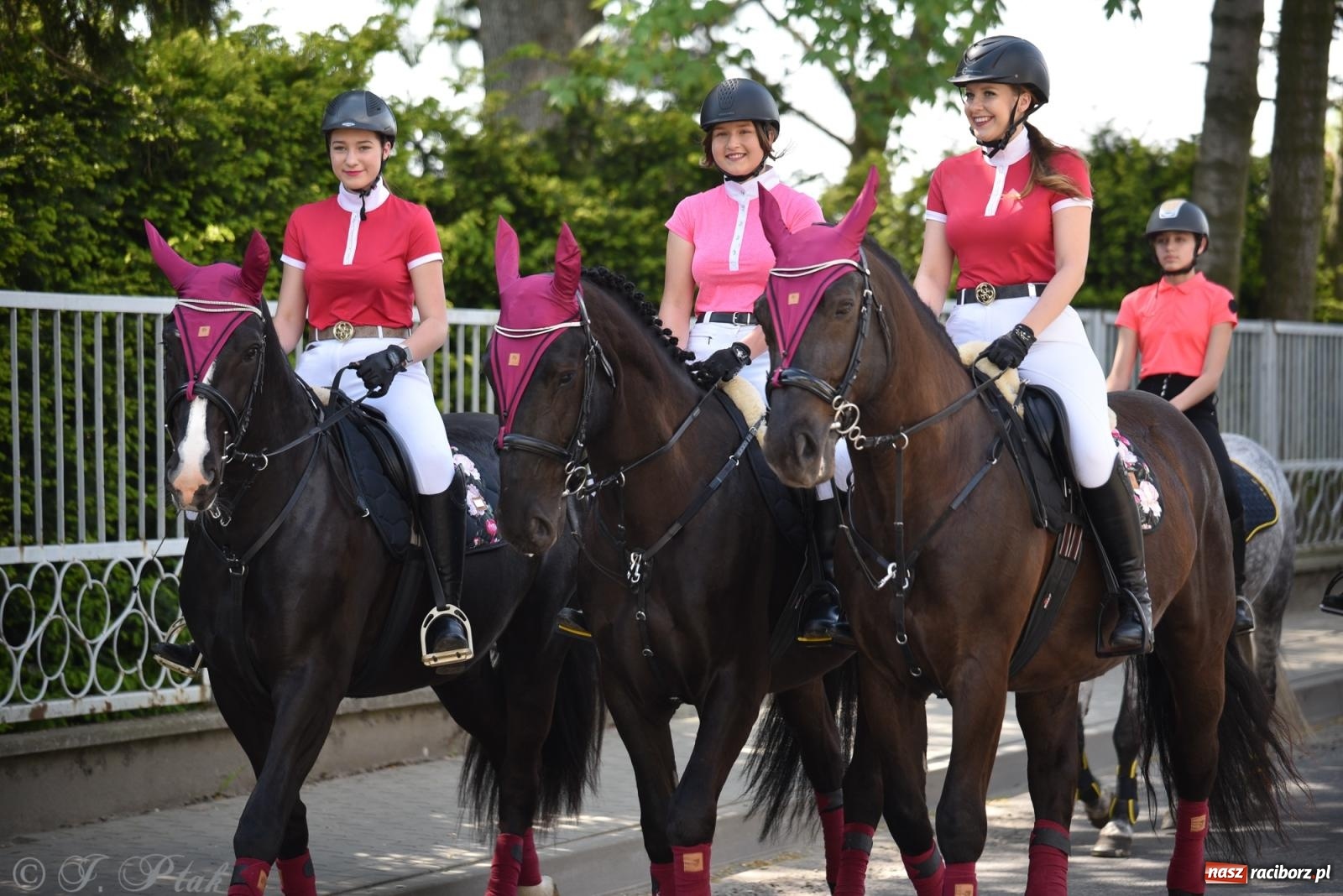 Zdjęcie w galerii na portalu naszraciborz.pl: Na pamiątkę wielkiego gradobicia. 147. procesja w Pogrzebieniu [FOTO i WIDEO] wiadomości z regionu