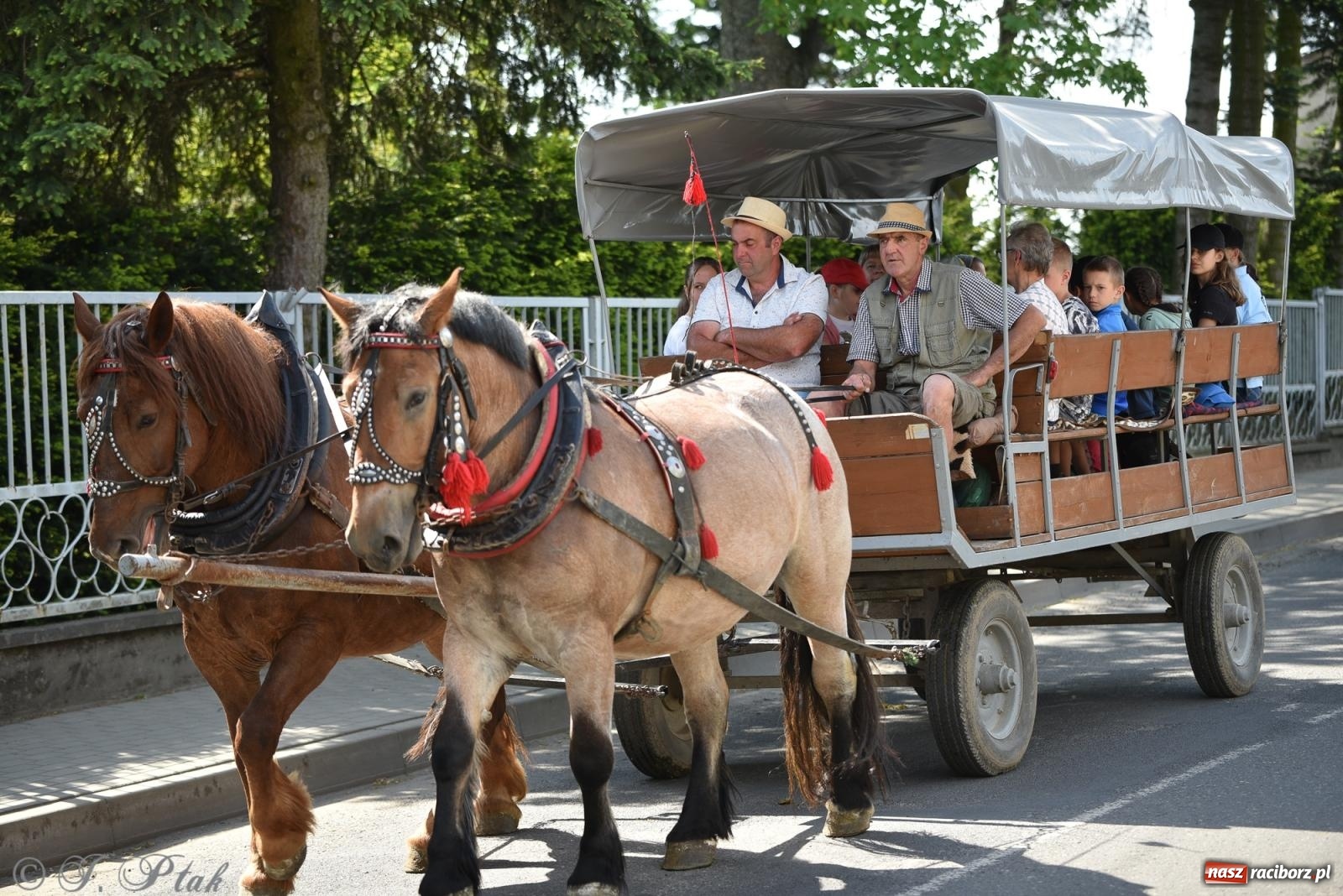 Zdjęcie w galerii na portalu naszraciborz.pl: Na pamiątkę wielkiego gradobicia. 147. procesja w Pogrzebieniu [FOTO i WIDEO] wiadomości z regionu