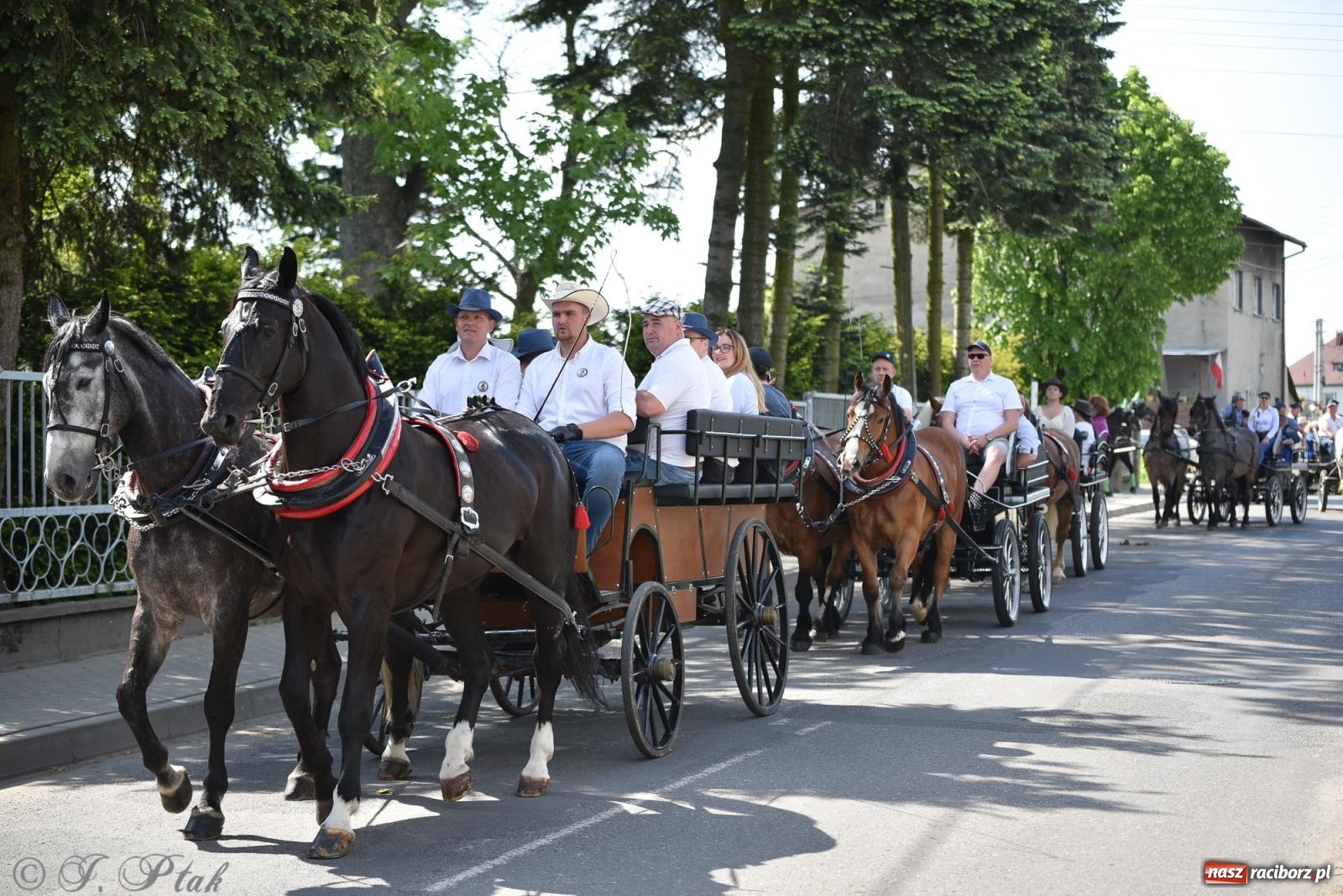 Zdjęcie w galerii na portalu naszraciborz.pl: Na pamiątkę wielkiego gradobicia. 147. procesja w Pogrzebieniu [FOTO i WIDEO] wiadomości z regionu