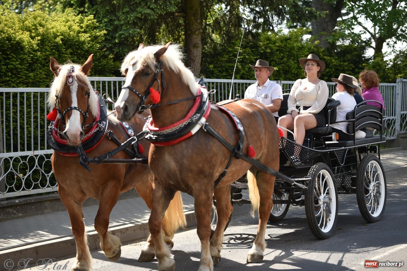 Zdjęcie w galerii na portalu naszraciborz.pl: Na pamiątkę wielkiego gradobicia. 147. procesja w Pogrzebieniu [FOTO i WIDEO] wiadomości z regionu