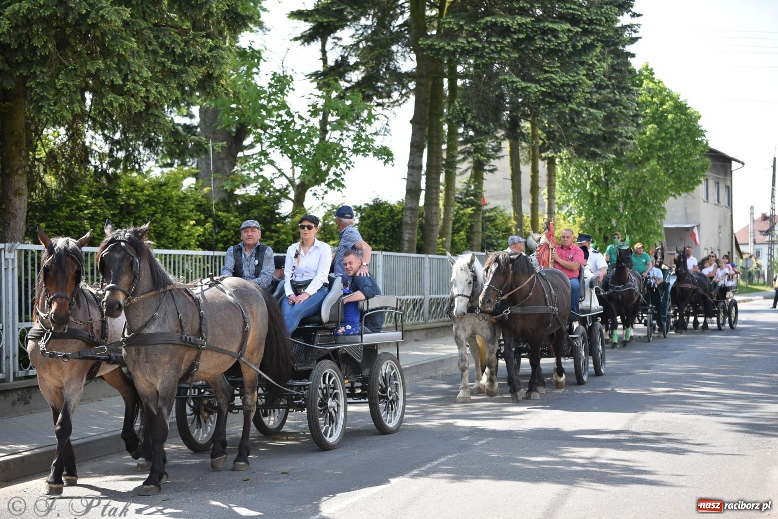 Zdjęcie w galerii na portalu naszraciborz.pl: Na pamiątkę wielkiego gradobicia. 147. procesja w Pogrzebieniu [FOTO i WIDEO] wiadomości z regionu