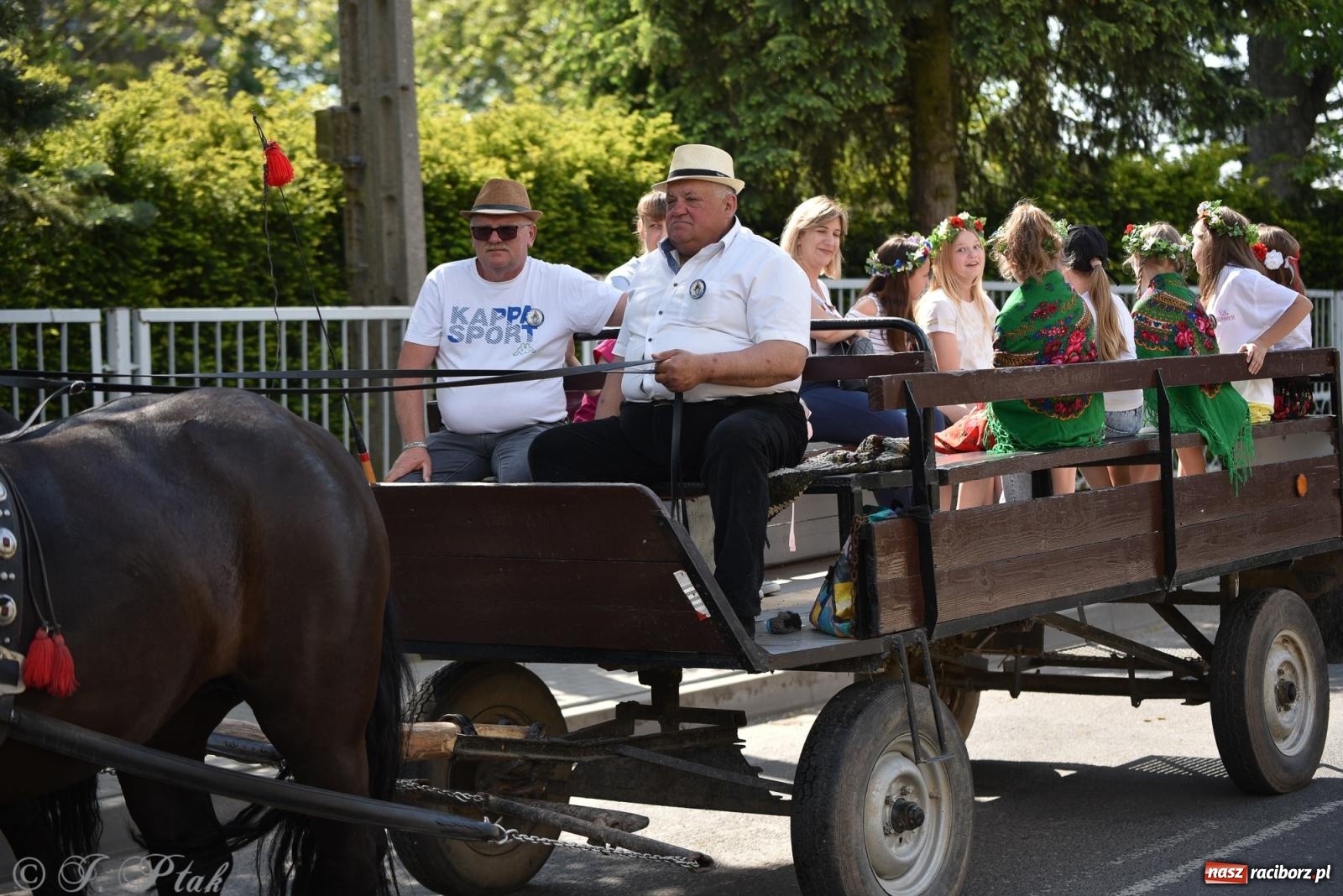 Zdjęcie w galerii na portalu naszraciborz.pl: Na pamiątkę wielkiego gradobicia. 147. procesja w Pogrzebieniu [FOTO i WIDEO] wiadomości z regionu