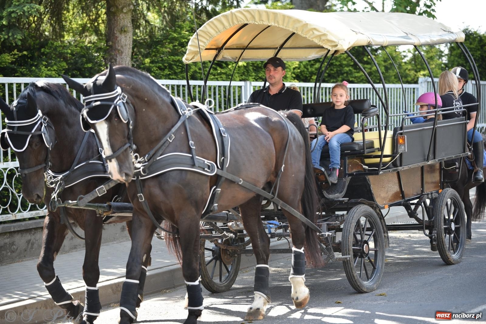 Zdjęcie w galerii na portalu naszraciborz.pl: Na pamiątkę wielkiego gradobicia. 147. procesja w Pogrzebieniu [FOTO i WIDEO] wiadomości z regionu