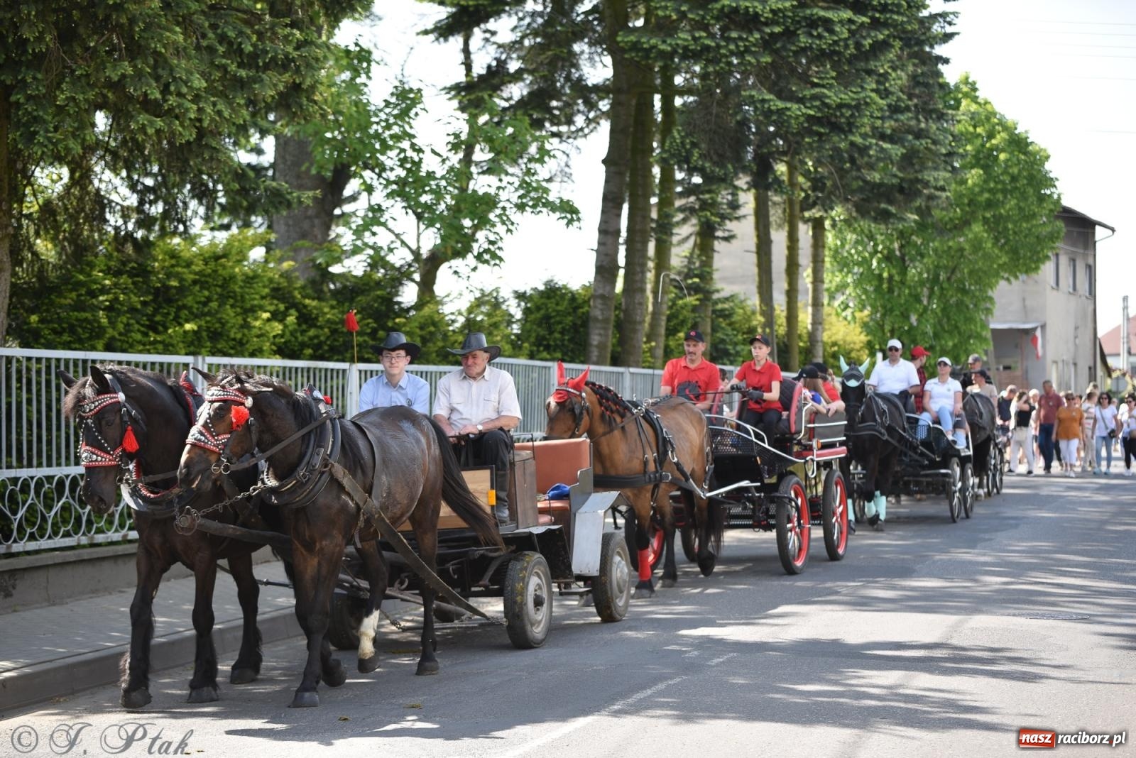 Zdjęcie w galerii na portalu naszraciborz.pl: Na pamiątkę wielkiego gradobicia. 147. procesja w Pogrzebieniu [FOTO i WIDEO] wiadomości z regionu