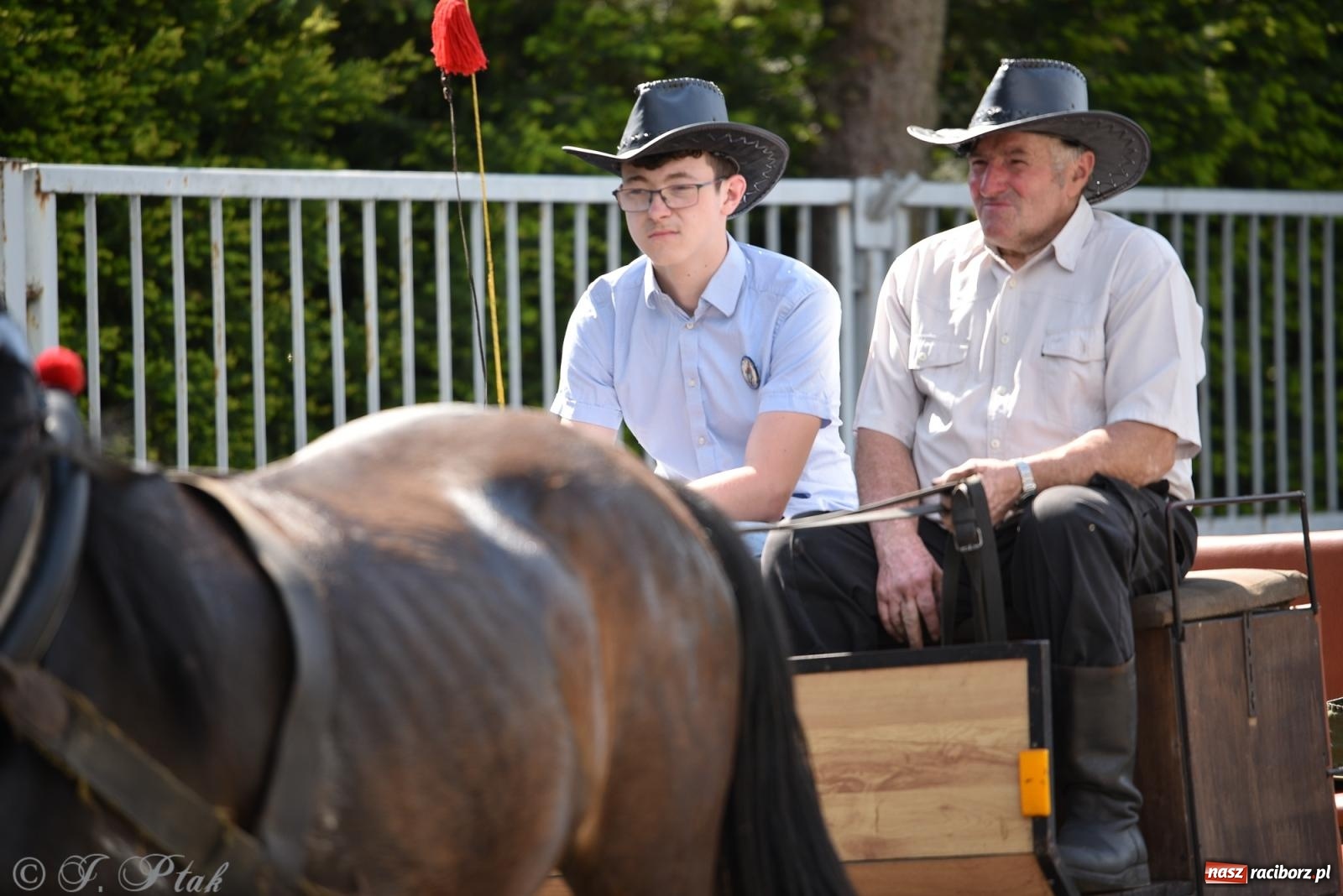 Zdjęcie w galerii na portalu naszraciborz.pl: Na pamiątkę wielkiego gradobicia. 147. procesja w Pogrzebieniu [FOTO i WIDEO] wiadomości z regionu