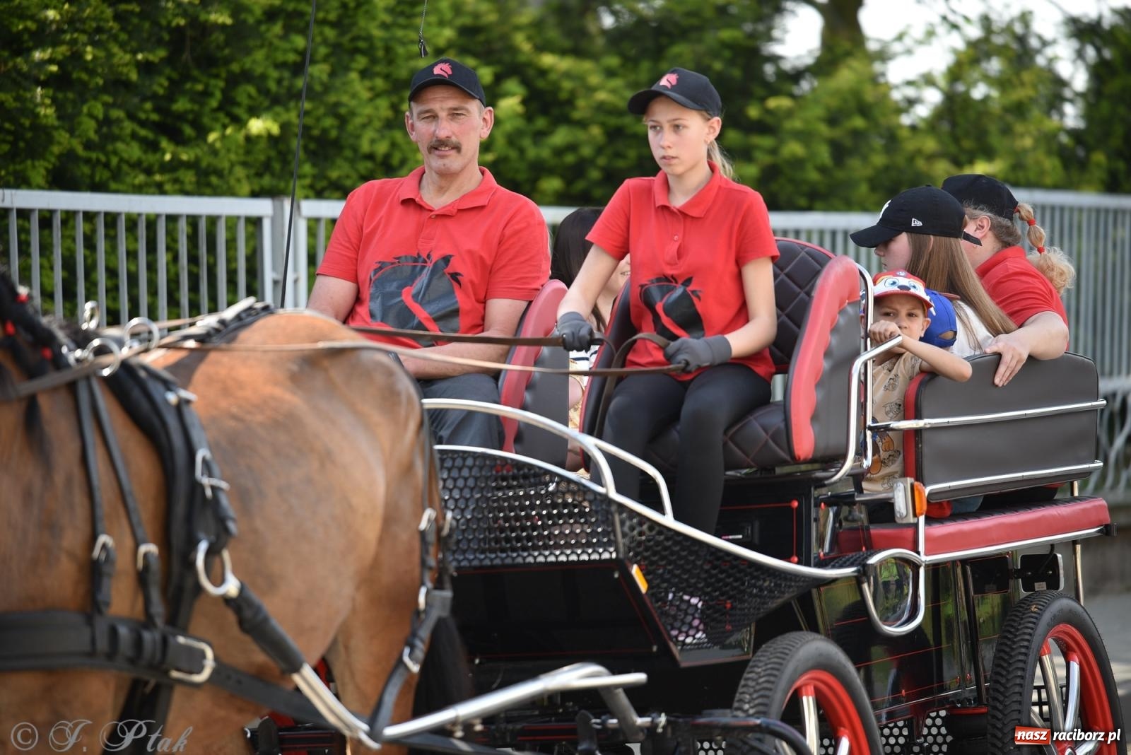 Zdjęcie w galerii na portalu naszraciborz.pl: Na pamiątkę wielkiego gradobicia. 147. procesja w Pogrzebieniu [FOTO i WIDEO] wiadomości z regionu