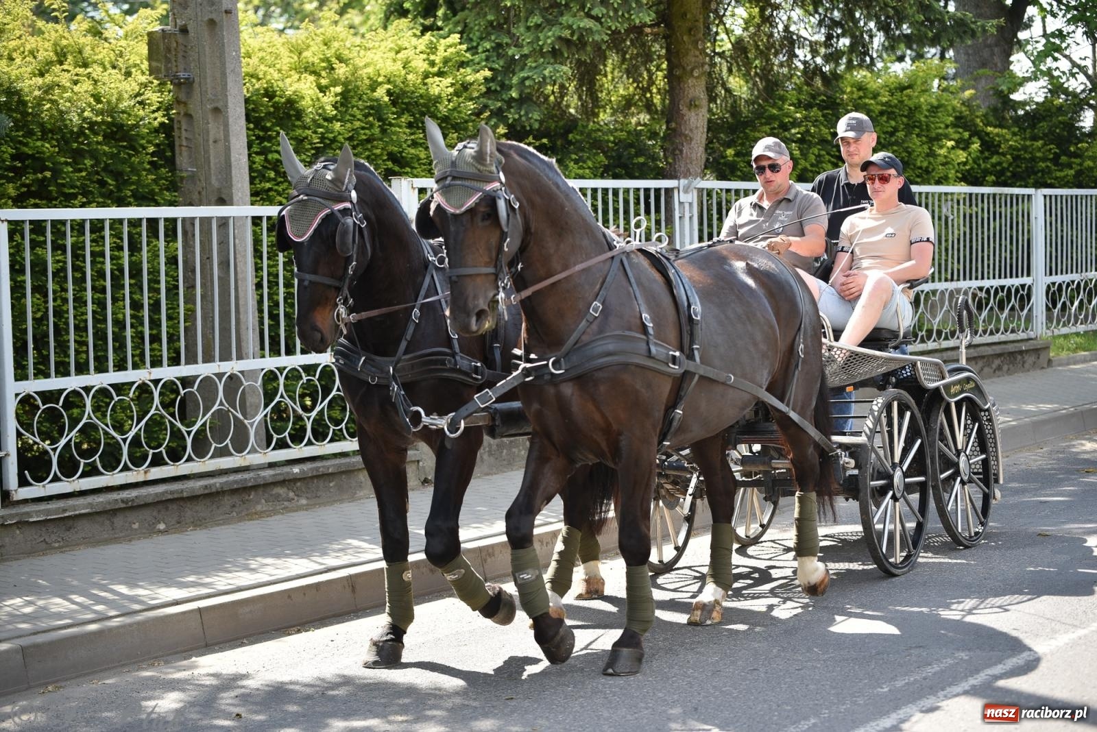 Zdjęcie w galerii na portalu naszraciborz.pl: Na pamiątkę wielkiego gradobicia. 147. procesja w Pogrzebieniu [FOTO i WIDEO] wiadomości z regionu