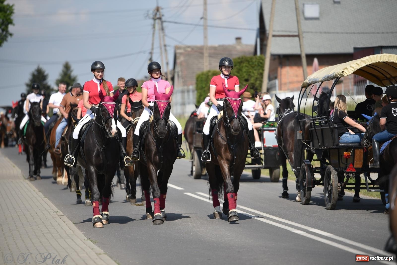 Zdjęcie w galerii na portalu naszraciborz.pl: Na pamiątkę wielkiego gradobicia. 147. procesja w Pogrzebieniu [FOTO i WIDEO] wiadomości z regionu