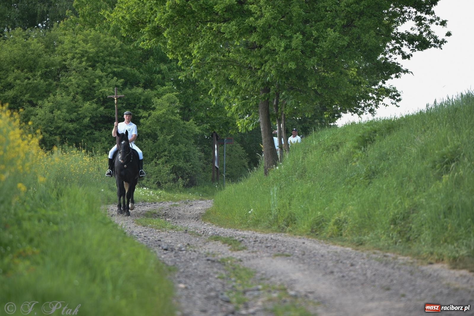 Zdjęcie w galerii na portalu naszraciborz.pl: Na pamiątkę wielkiego gradobicia. 147. procesja w Pogrzebieniu [FOTO i WIDEO] wiadomości z regionu