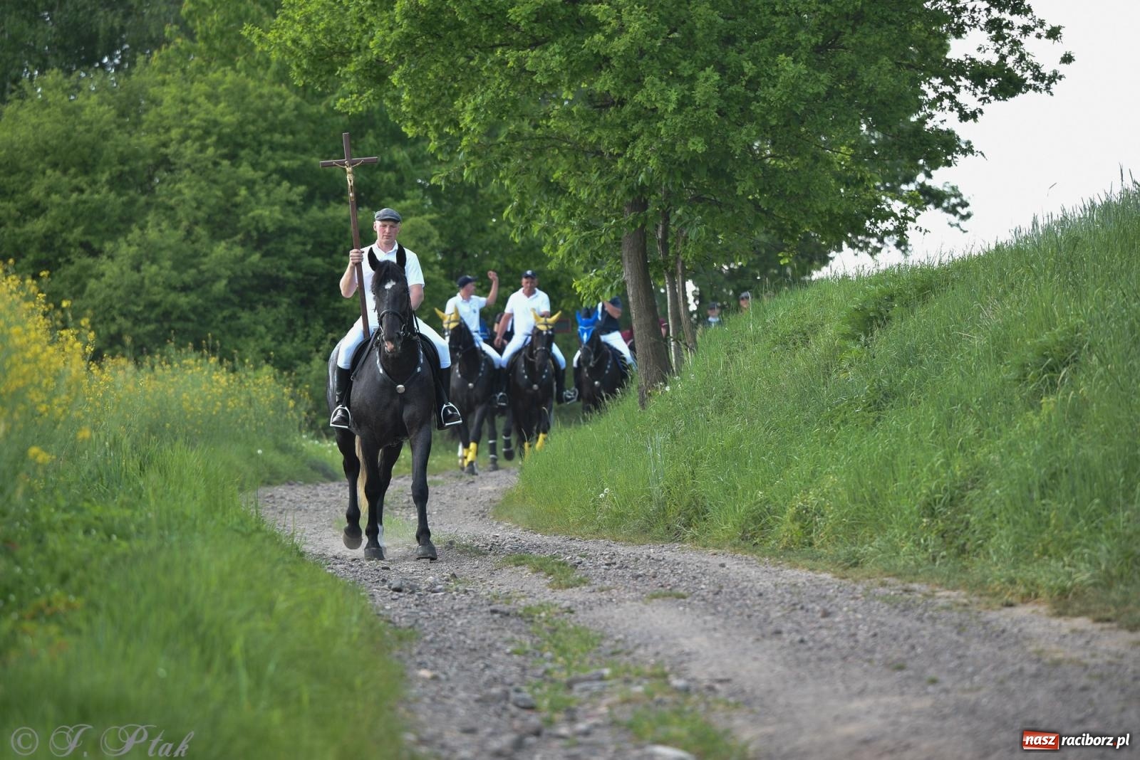 Zdjęcie w galerii na portalu naszraciborz.pl: Na pamiątkę wielkiego gradobicia. 147. procesja w Pogrzebieniu [FOTO i WIDEO] wiadomości z regionu