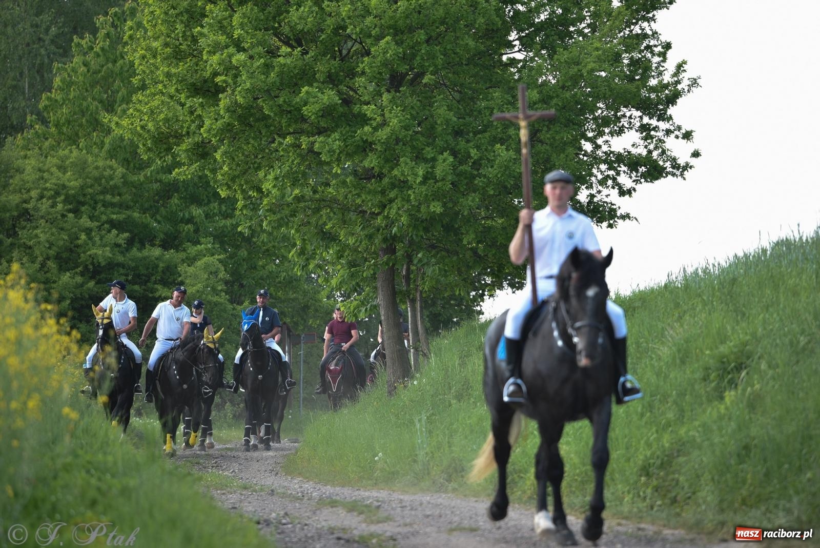 Zdjęcie w galerii na portalu naszraciborz.pl: Na pamiątkę wielkiego gradobicia. 147. procesja w Pogrzebieniu [FOTO i WIDEO] wiadomości z regionu
