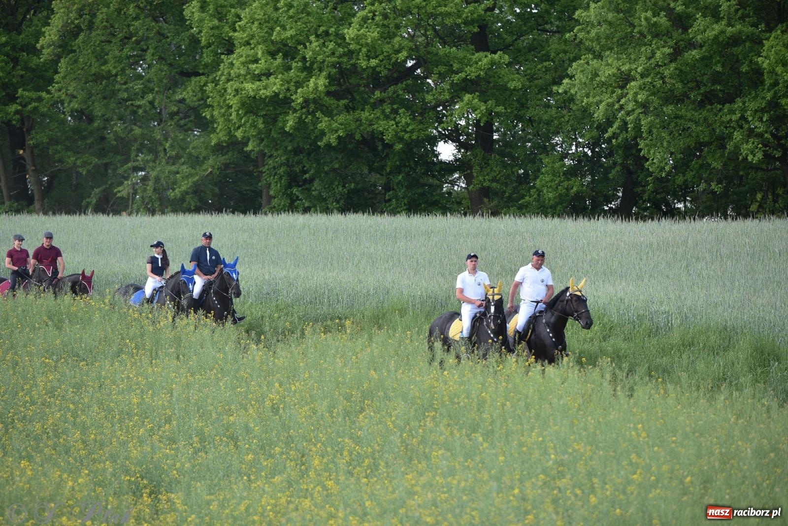 Zdjęcie w galerii na portalu naszraciborz.pl: Na pamiątkę wielkiego gradobicia. 147. procesja w Pogrzebieniu [FOTO i WIDEO] wiadomości z regionu
