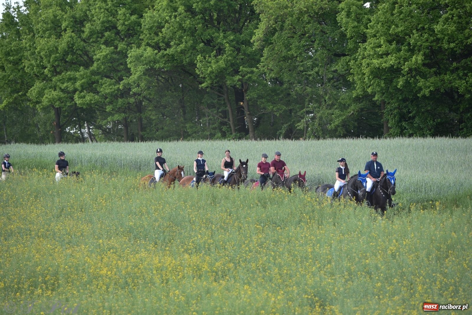Zdjęcie w galerii na portalu naszraciborz.pl: Na pamiątkę wielkiego gradobicia. 147. procesja w Pogrzebieniu [FOTO i WIDEO] wiadomości z regionu