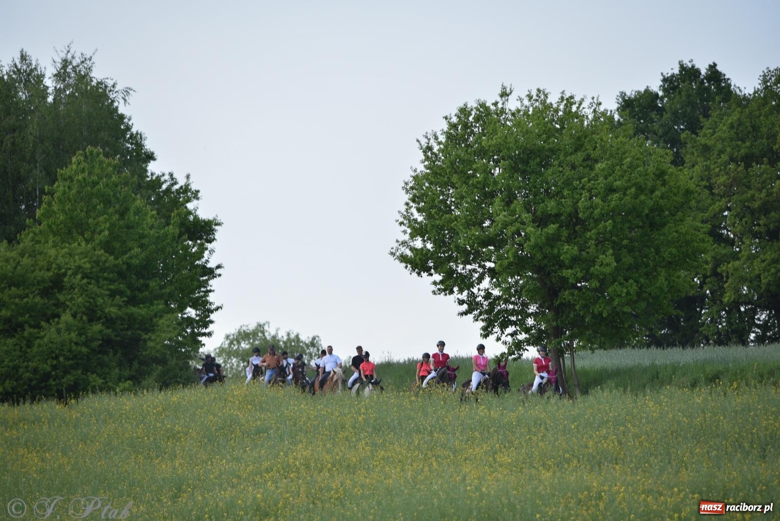 Zdjęcie w galerii na portalu naszraciborz.pl: Na pamiątkę wielkiego gradobicia. 147. procesja w Pogrzebieniu [FOTO i WIDEO] wiadomości z regionu
