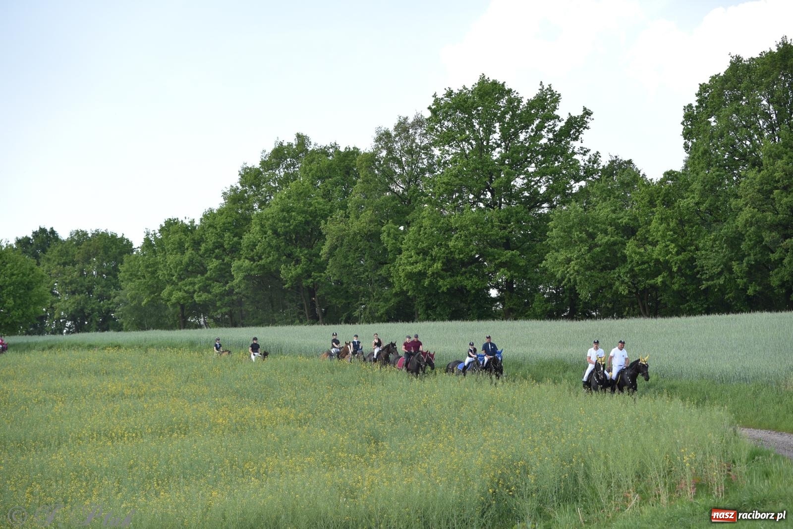 Zdjęcie w galerii na portalu naszraciborz.pl: Na pamiątkę wielkiego gradobicia. 147. procesja w Pogrzebieniu [FOTO i WIDEO] wiadomości z regionu