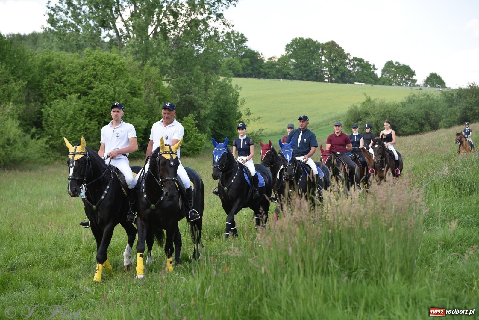Zdjęcie w galerii na portalu naszraciborz.pl: Na pamiątkę wielkiego gradobicia. 147. procesja w Pogrzebieniu [FOTO i WIDEO] wiadomości z regionu