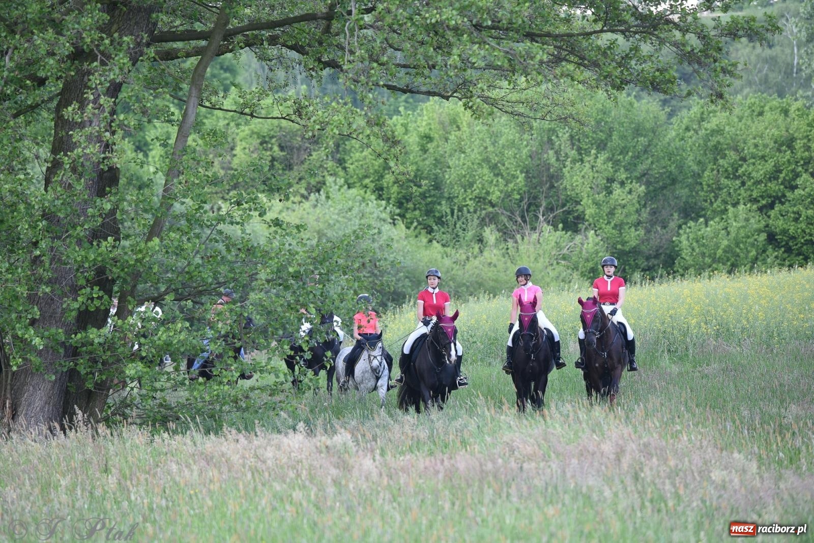 Zdjęcie w galerii na portalu naszraciborz.pl: Na pamiątkę wielkiego gradobicia. 147. procesja w Pogrzebieniu [FOTO i WIDEO] wiadomości z regionu