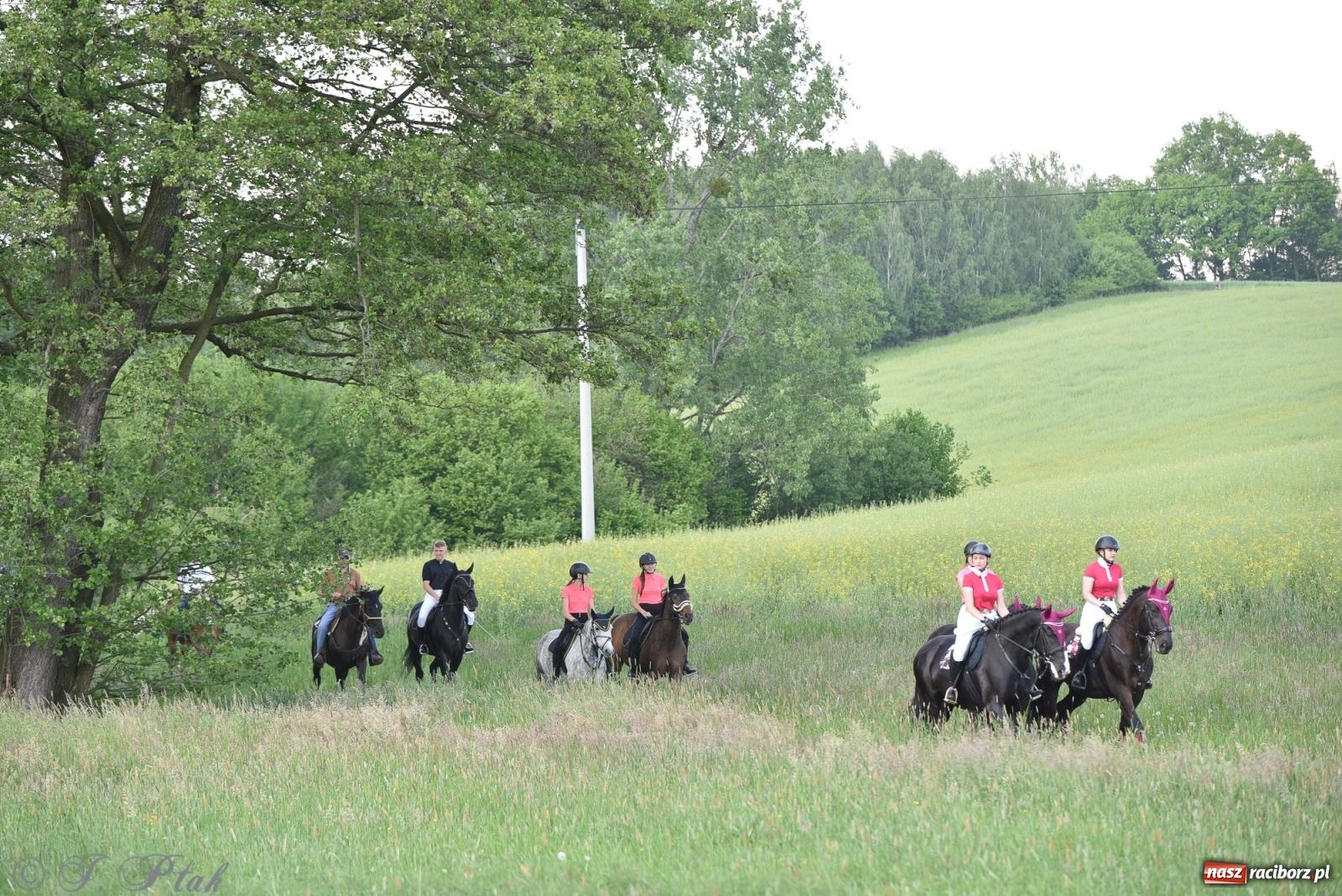 Zdjęcie w galerii na portalu naszraciborz.pl: Na pamiątkę wielkiego gradobicia. 147. procesja w Pogrzebieniu [FOTO i WIDEO] wiadomości z regionu