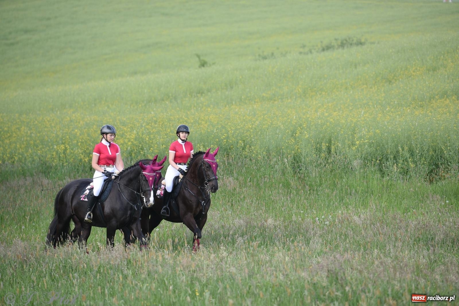 Zdjęcie w galerii na portalu naszraciborz.pl: Na pamiątkę wielkiego gradobicia. 147. procesja w Pogrzebieniu [FOTO i WIDEO] wiadomości z regionu