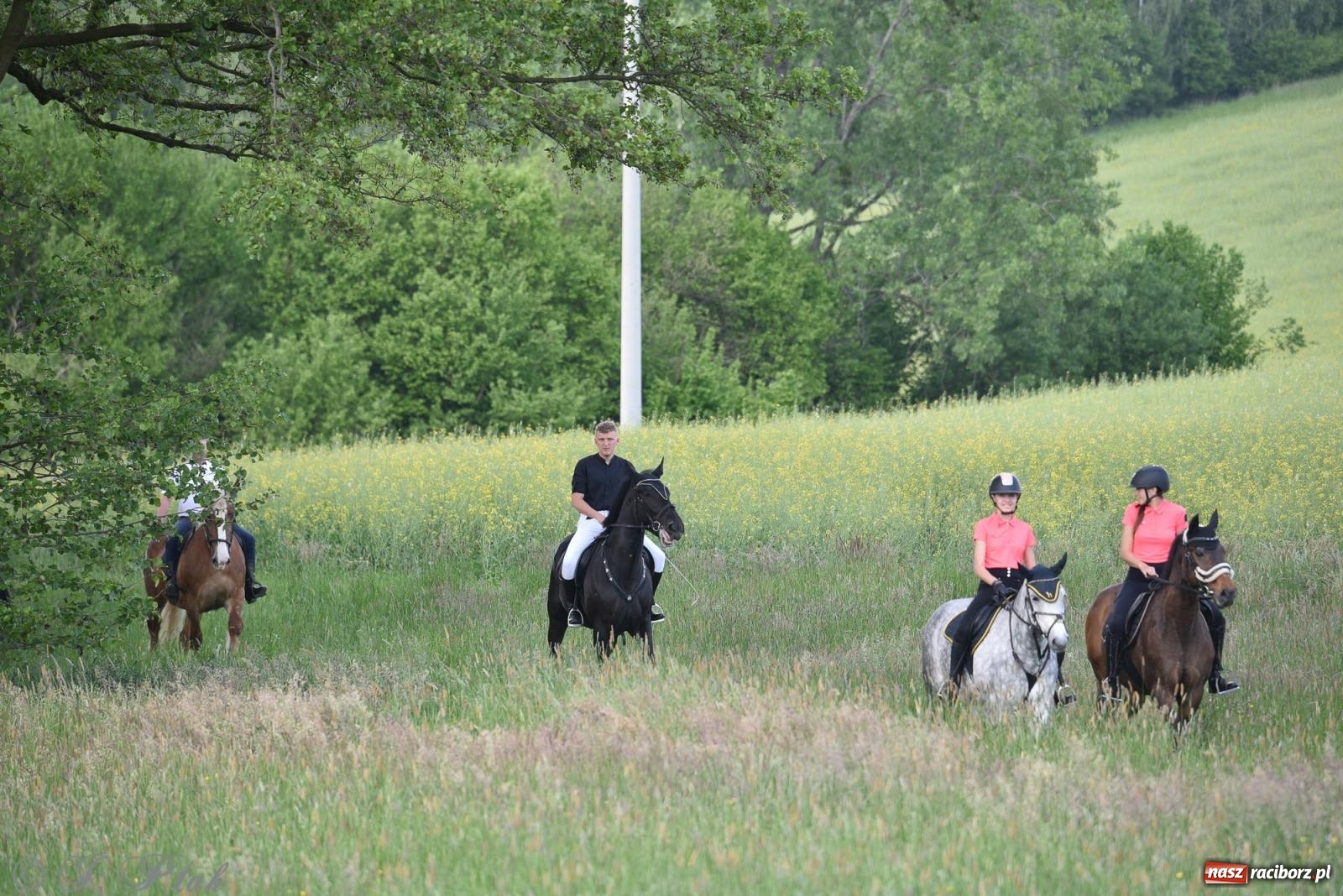 Zdjęcie w galerii na portalu naszraciborz.pl: Na pamiątkę wielkiego gradobicia. 147. procesja w Pogrzebieniu [FOTO i WIDEO] wiadomości z regionu