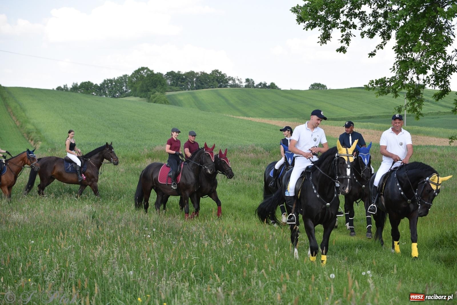 Zdjęcie w galerii na portalu naszraciborz.pl: Na pamiątkę wielkiego gradobicia. 147. procesja w Pogrzebieniu [FOTO i WIDEO] wiadomości z regionu