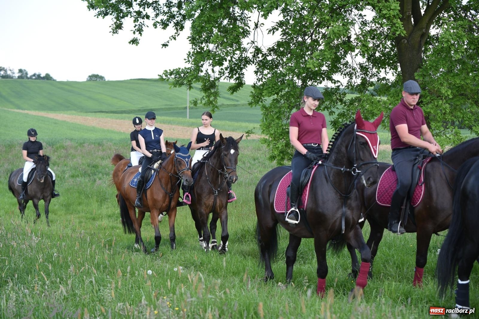 Zdjęcie w galerii na portalu naszraciborz.pl: Na pamiątkę wielkiego gradobicia. 147. procesja w Pogrzebieniu [FOTO i WIDEO] wiadomości z regionu