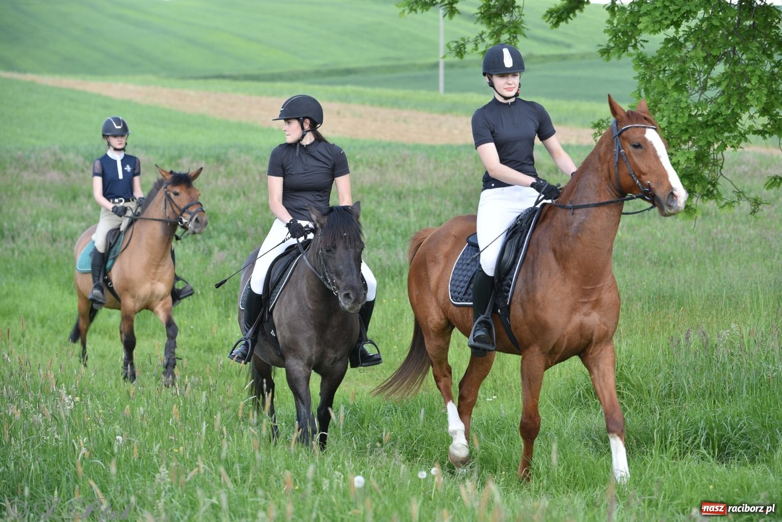 Zdjęcie w galerii na portalu naszraciborz.pl: Na pamiątkę wielkiego gradobicia. 147. procesja w Pogrzebieniu [FOTO i WIDEO] wiadomości z regionu
