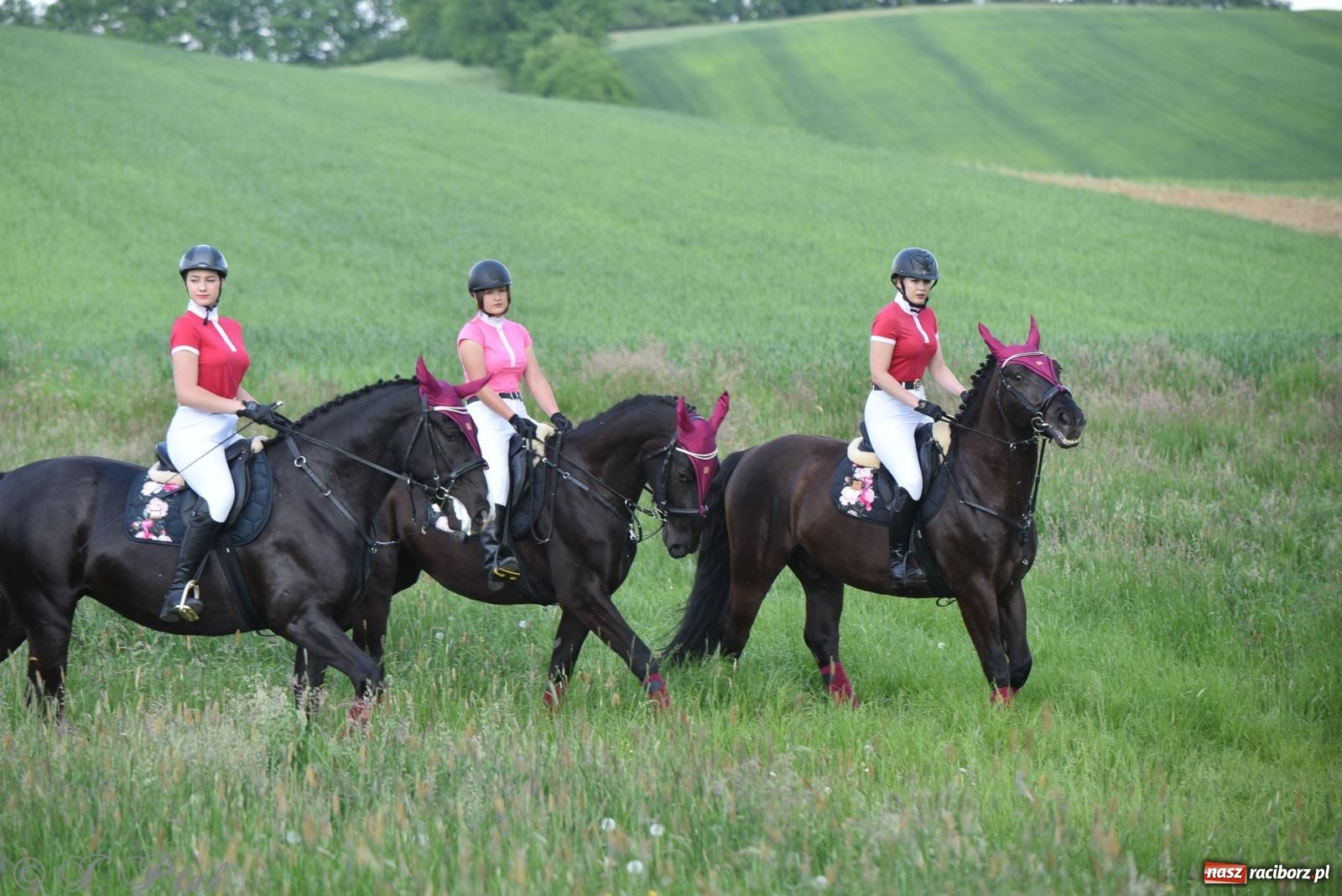 Zdjęcie w galerii na portalu naszraciborz.pl: Na pamiątkę wielkiego gradobicia. 147. procesja w Pogrzebieniu [FOTO i WIDEO] wiadomości z regionu