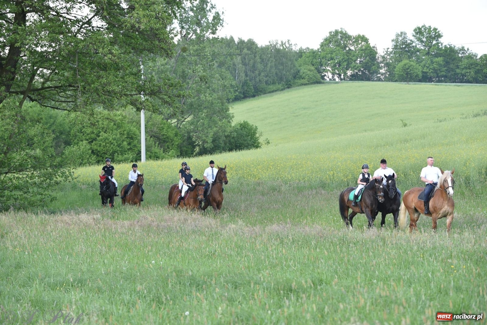 Zdjęcie w galerii na portalu naszraciborz.pl: Na pamiątkę wielkiego gradobicia. 147. procesja w Pogrzebieniu [FOTO i WIDEO] wiadomości z regionu