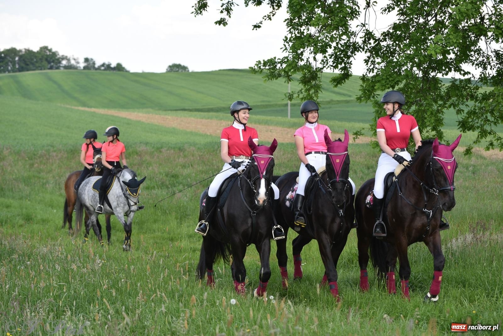 Zdjęcie w galerii na portalu naszraciborz.pl: Na pamiątkę wielkiego gradobicia. 147. procesja w Pogrzebieniu [FOTO i WIDEO] wiadomości z regionu