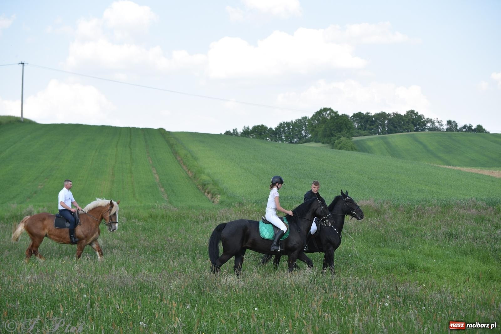 Zdjęcie w galerii na portalu naszraciborz.pl: Na pamiątkę wielkiego gradobicia. 147. procesja w Pogrzebieniu [FOTO i WIDEO] wiadomości z regionu