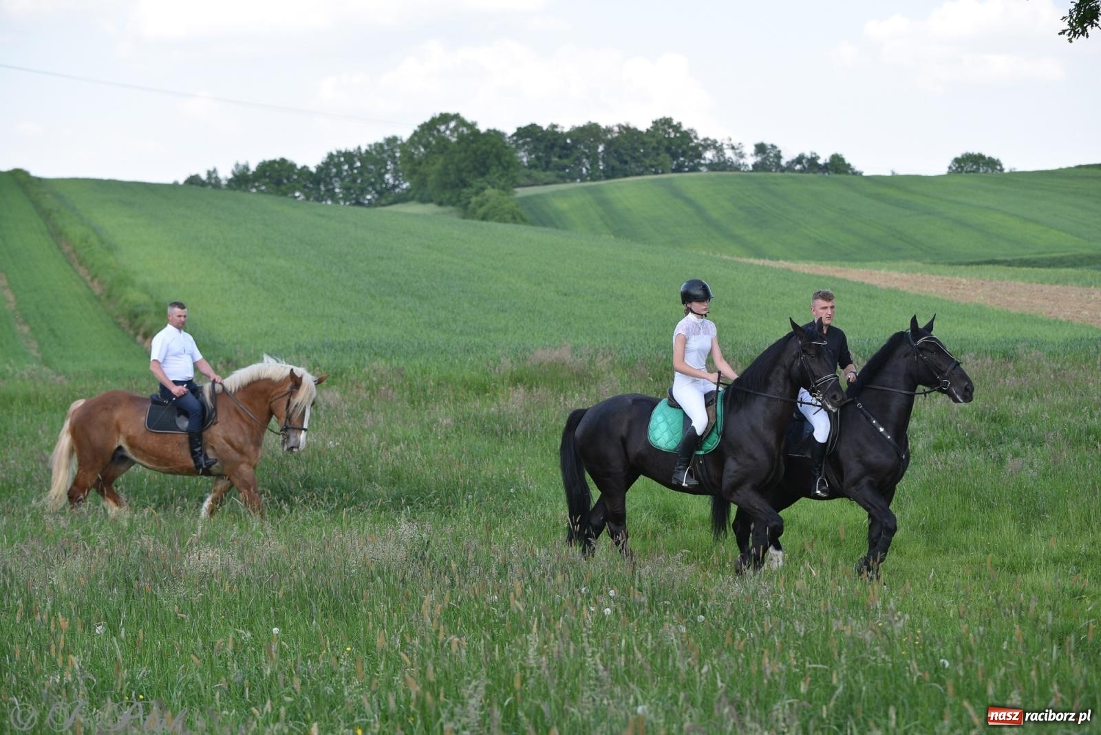 Zdjęcie w galerii na portalu naszraciborz.pl: Na pamiątkę wielkiego gradobicia. 147. procesja w Pogrzebieniu [FOTO i WIDEO] wiadomości z regionu