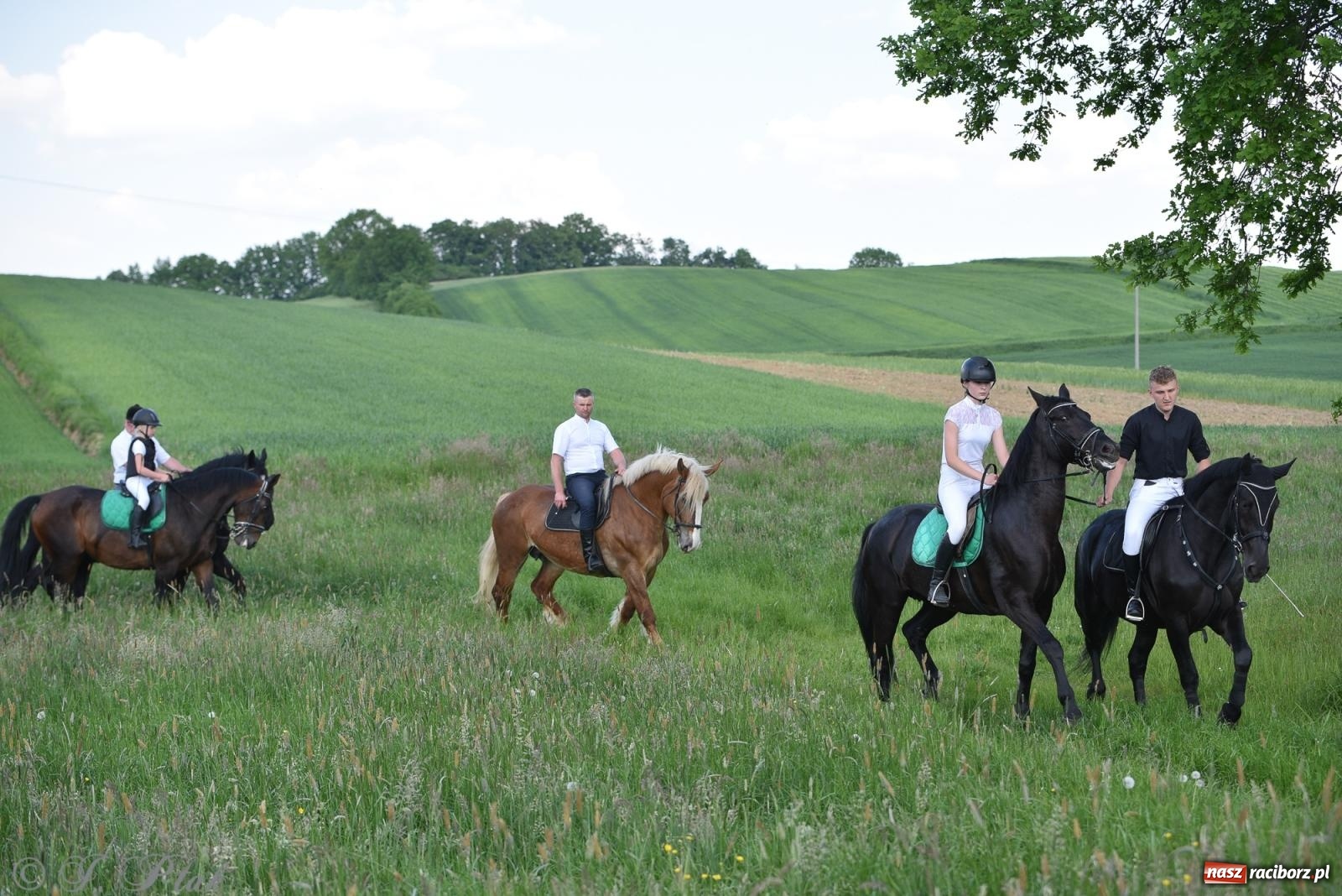Zdjęcie w galerii na portalu naszraciborz.pl: Na pamiątkę wielkiego gradobicia. 147. procesja w Pogrzebieniu [FOTO i WIDEO] wiadomości z regionu