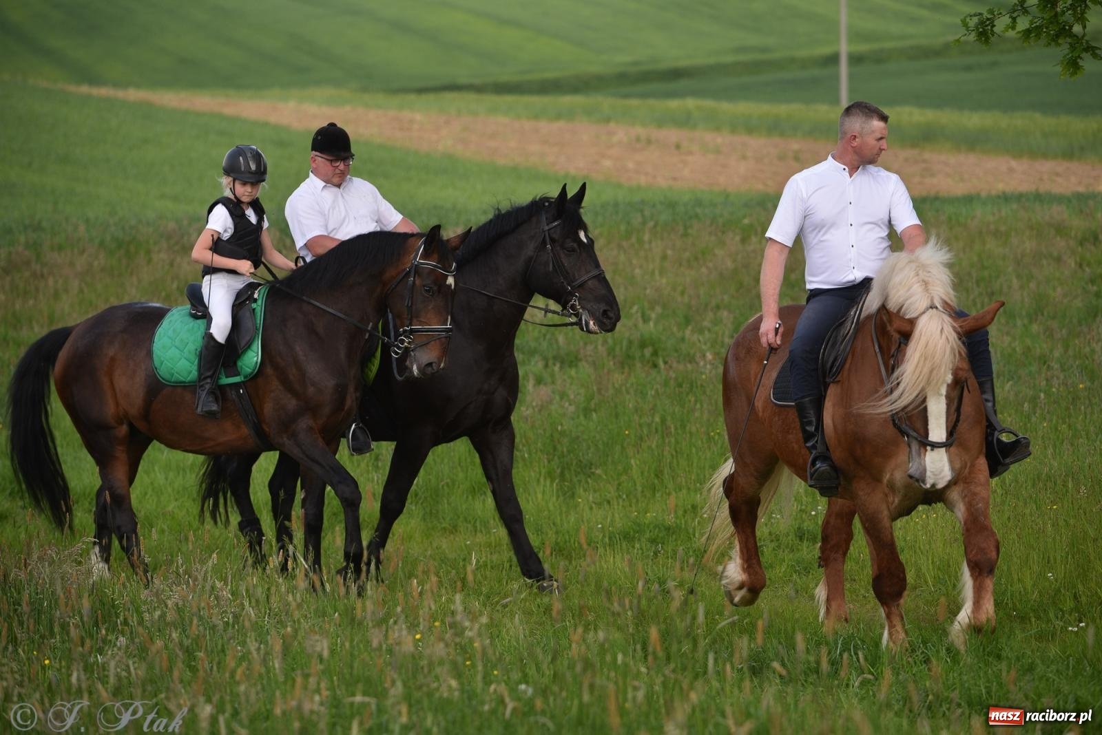 Zdjęcie w galerii na portalu naszraciborz.pl: Na pamiątkę wielkiego gradobicia. 147. procesja w Pogrzebieniu [FOTO i WIDEO] wiadomości z regionu