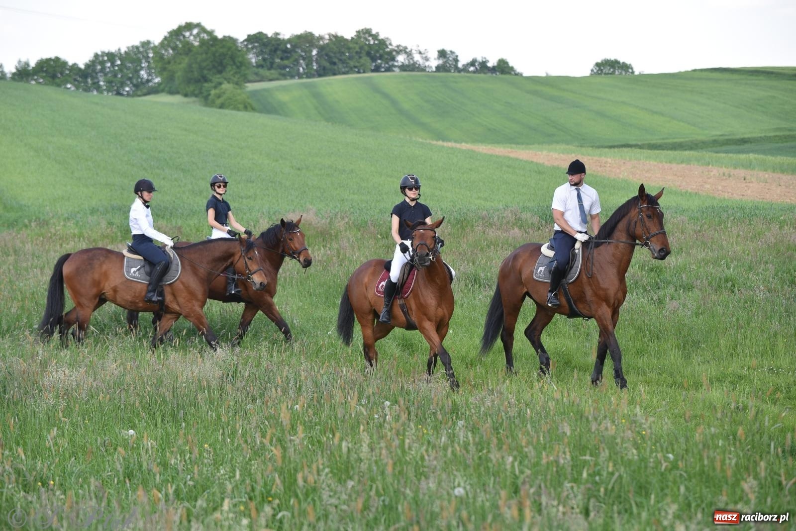 Zdjęcie w galerii na portalu naszraciborz.pl: Na pamiątkę wielkiego gradobicia. 147. procesja w Pogrzebieniu [FOTO i WIDEO] wiadomości z regionu