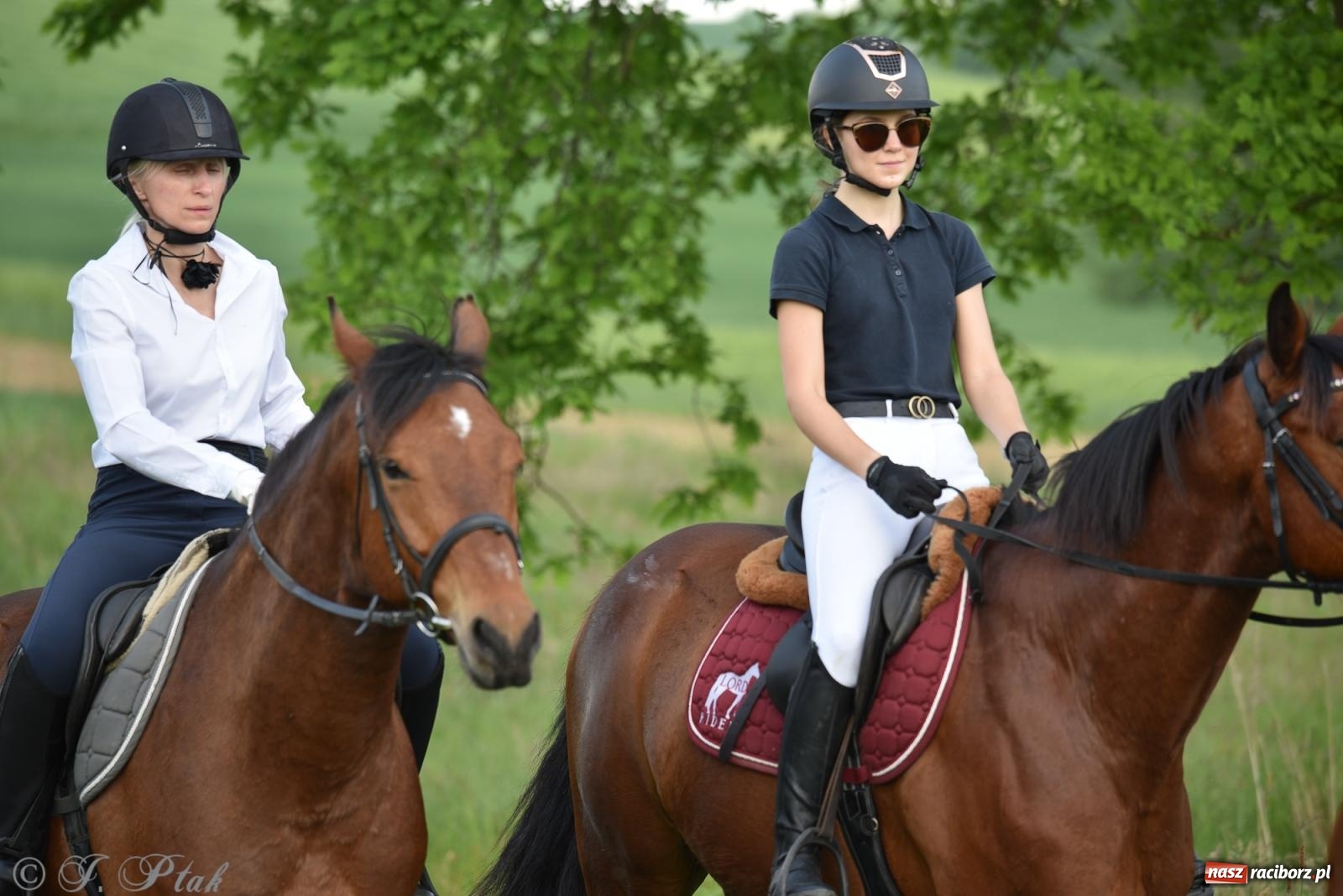 Zdjęcie w galerii na portalu naszraciborz.pl: Na pamiątkę wielkiego gradobicia. 147. procesja w Pogrzebieniu [FOTO i WIDEO] wiadomości z regionu