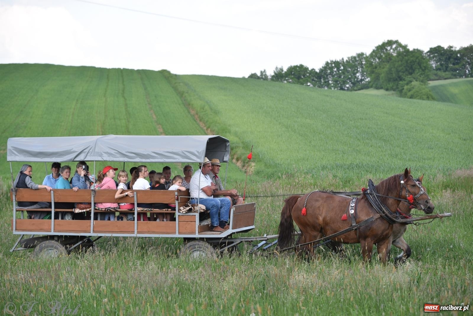 Zdjęcie w galerii na portalu naszraciborz.pl: Na pamiątkę wielkiego gradobicia. 147. procesja w Pogrzebieniu [FOTO i WIDEO] wiadomości z regionu
