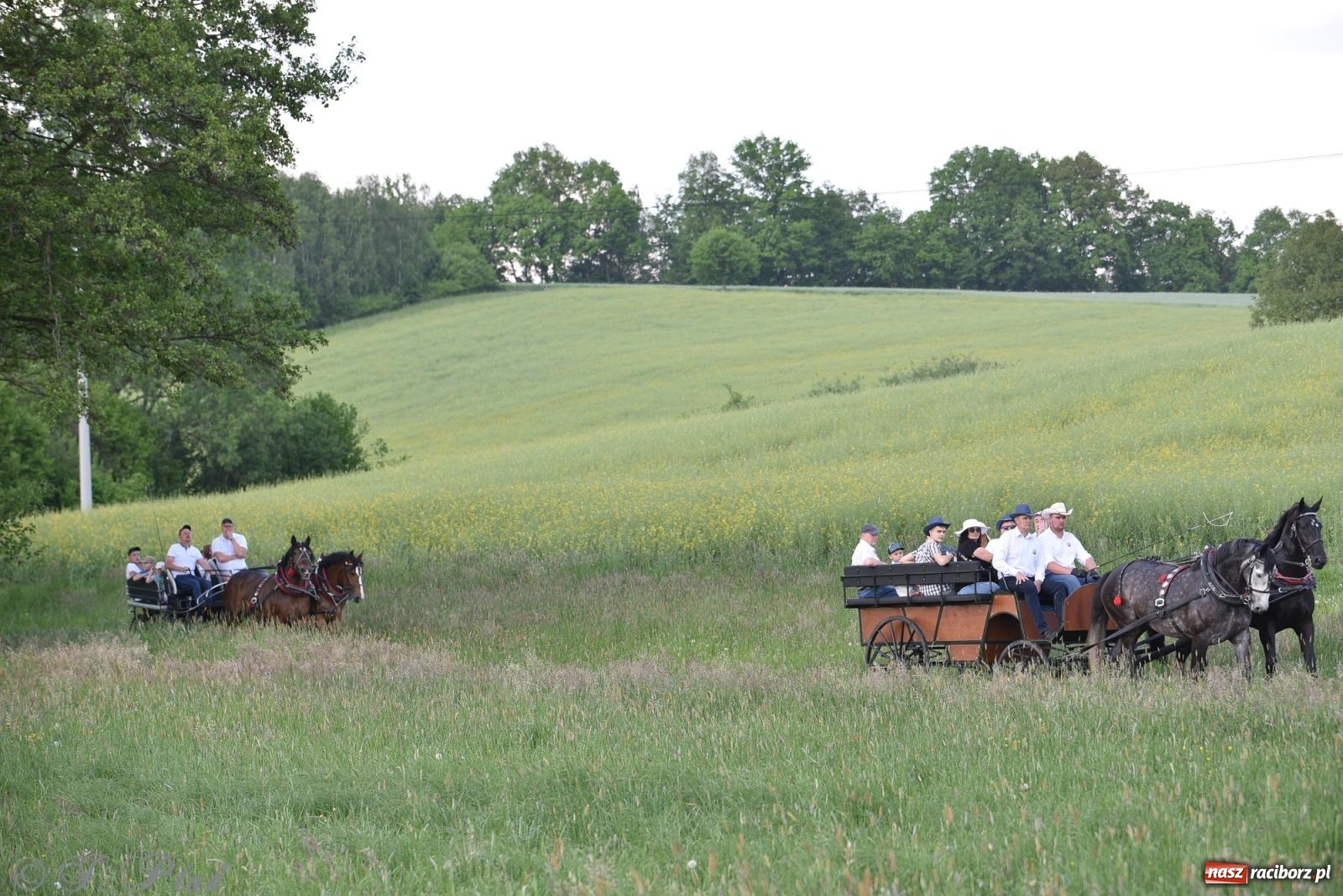 Zdjęcie w galerii na portalu naszraciborz.pl: Na pamiątkę wielkiego gradobicia. 147. procesja w Pogrzebieniu [FOTO i WIDEO] wiadomości z regionu