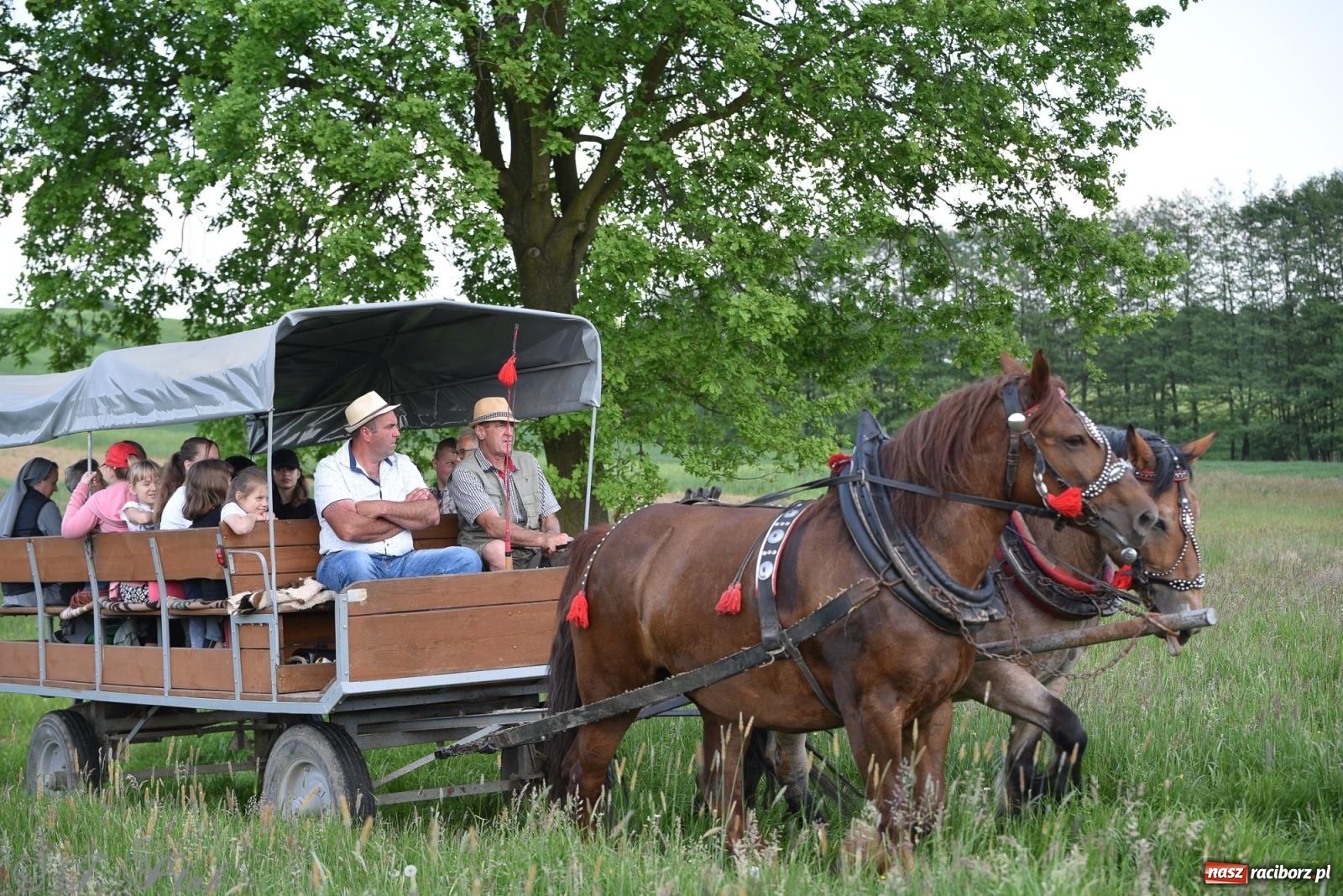 Zdjęcie w galerii na portalu naszraciborz.pl: Na pamiątkę wielkiego gradobicia. 147. procesja w Pogrzebieniu [FOTO i WIDEO] wiadomości z regionu