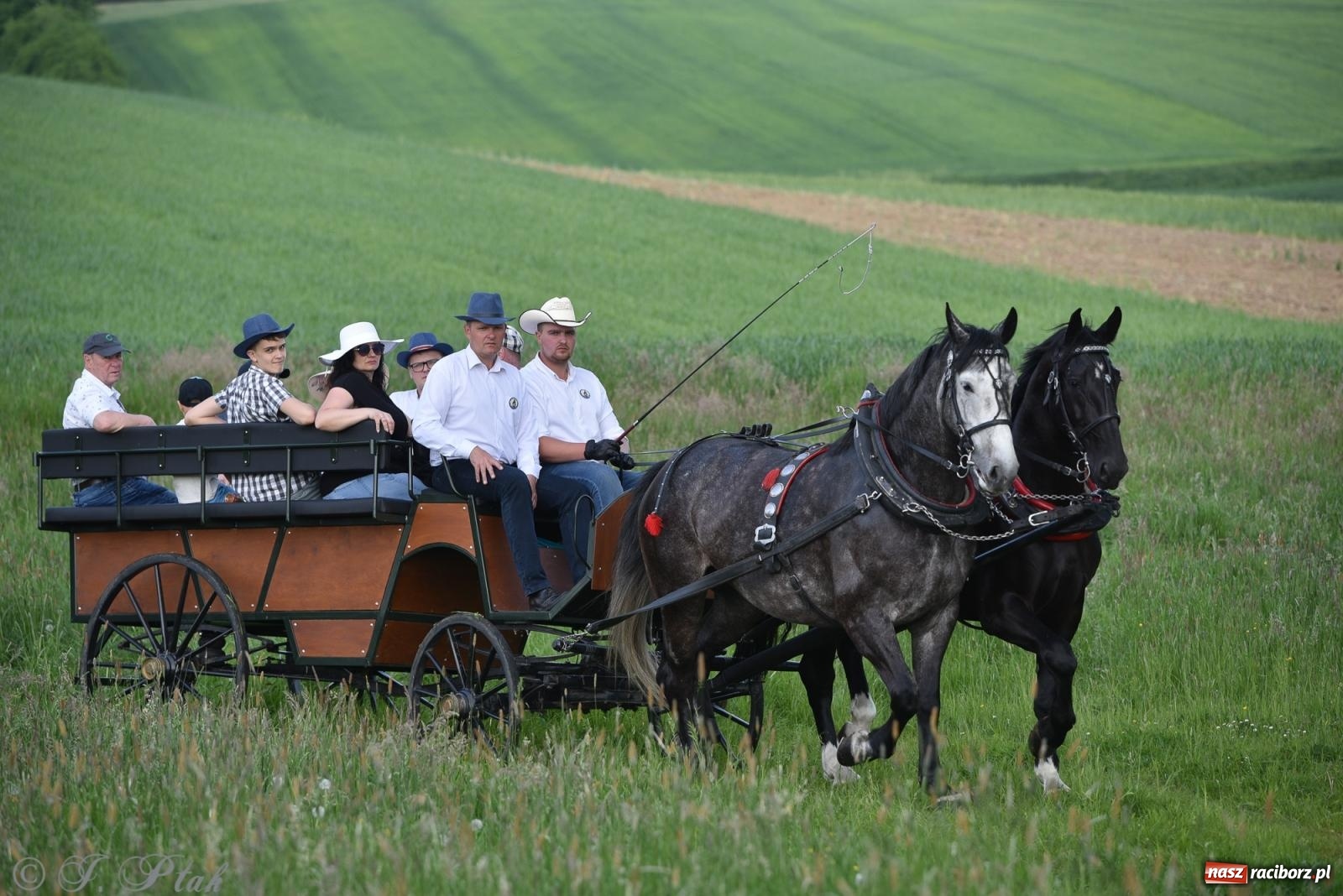 Zdjęcie w galerii na portalu naszraciborz.pl: Na pamiątkę wielkiego gradobicia. 147. procesja w Pogrzebieniu [FOTO i WIDEO] wiadomości z regionu