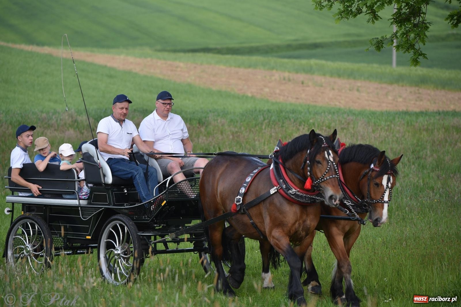 Zdjęcie w galerii na portalu naszraciborz.pl: Na pamiątkę wielkiego gradobicia. 147. procesja w Pogrzebieniu [FOTO i WIDEO] wiadomości z regionu