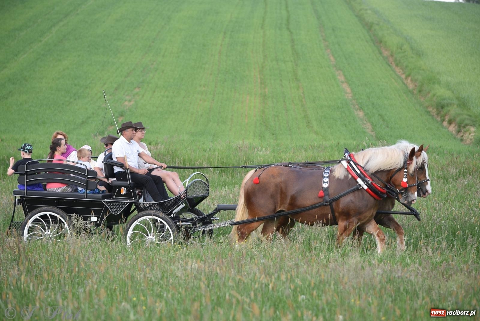 Zdjęcie w galerii na portalu naszraciborz.pl: Na pamiątkę wielkiego gradobicia. 147. procesja w Pogrzebieniu [FOTO i WIDEO] wiadomości z regionu