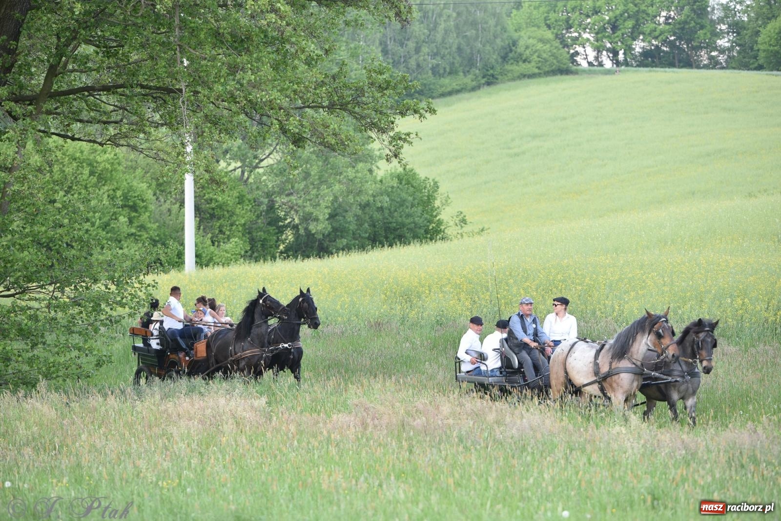 Zdjęcie w galerii na portalu naszraciborz.pl: Na pamiątkę wielkiego gradobicia. 147. procesja w Pogrzebieniu [FOTO i WIDEO] wiadomości z regionu