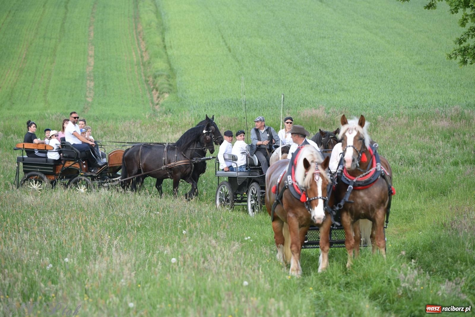 Zdjęcie w galerii na portalu naszraciborz.pl: Na pamiątkę wielkiego gradobicia. 147. procesja w Pogrzebieniu [FOTO i WIDEO] wiadomości z regionu