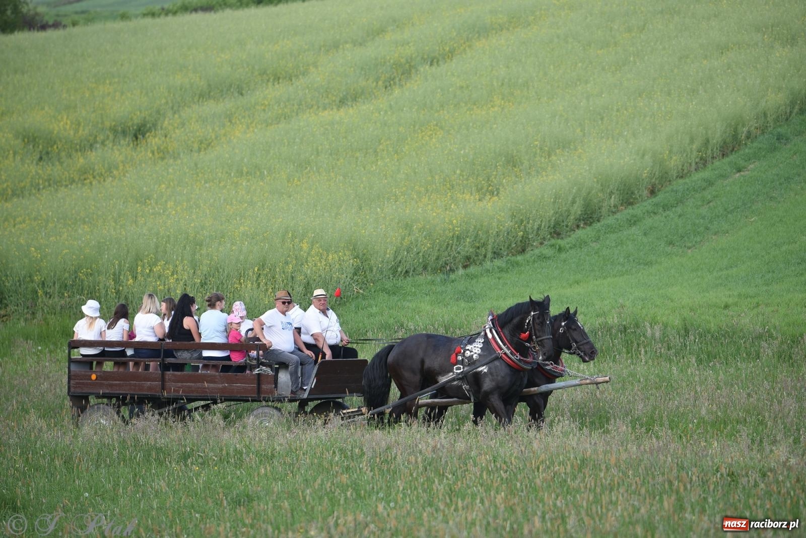 Zdjęcie w galerii na portalu naszraciborz.pl: Na pamiątkę wielkiego gradobicia. 147. procesja w Pogrzebieniu [FOTO i WIDEO] wiadomości z regionu