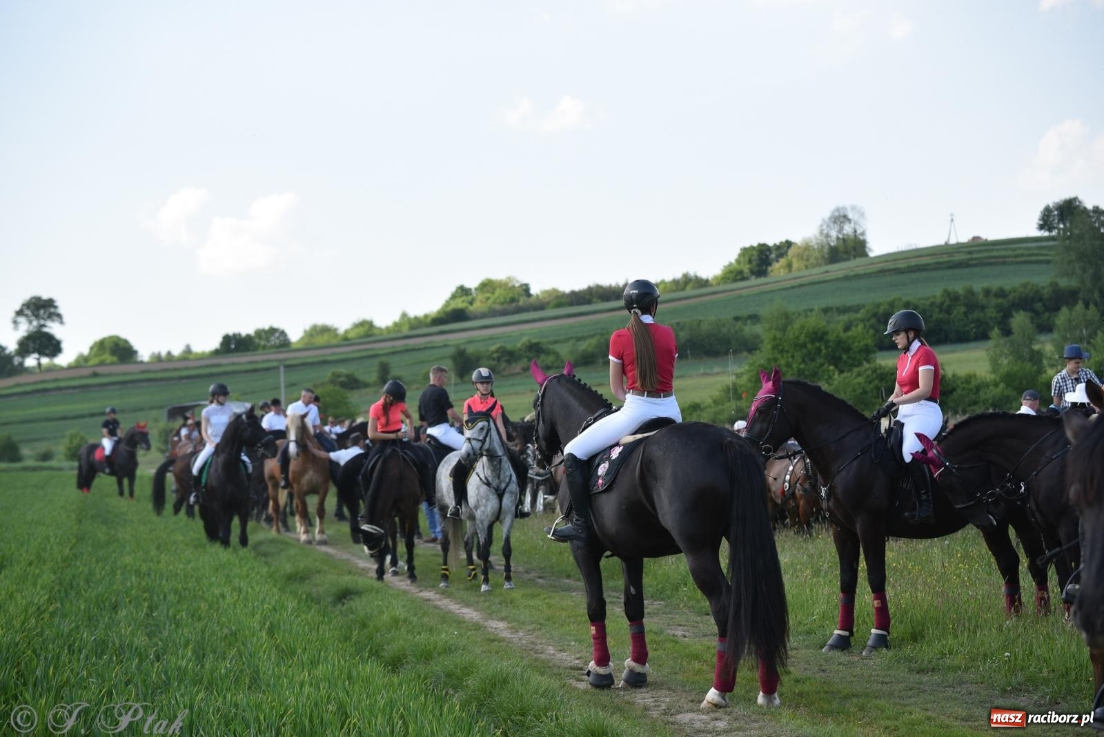 Zdjęcie w galerii na portalu naszraciborz.pl: Na pamiątkę wielkiego gradobicia. 147. procesja w Pogrzebieniu [FOTO i WIDEO] wiadomości z regionu