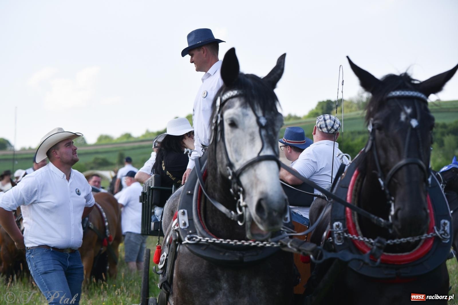 Zdjęcie w galerii na portalu naszraciborz.pl: Na pamiątkę wielkiego gradobicia. 147. procesja w Pogrzebieniu [FOTO i WIDEO] wiadomości z regionu