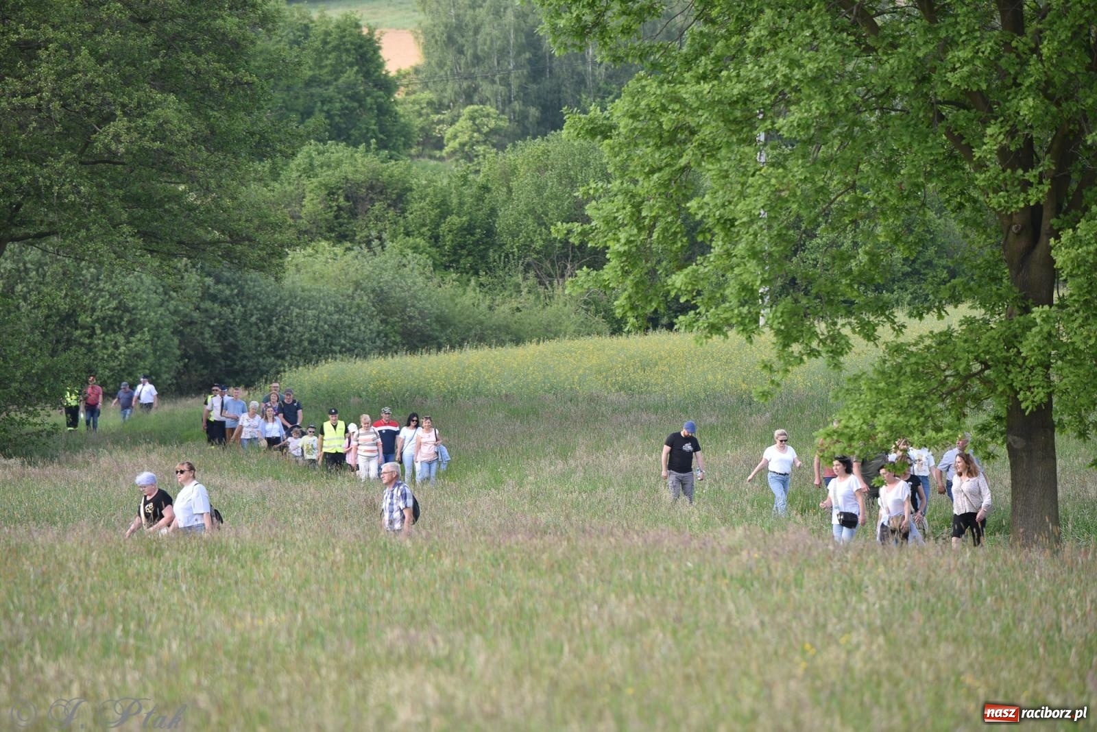 Zdjęcie w galerii na portalu naszraciborz.pl: Na pamiątkę wielkiego gradobicia. 147. procesja w Pogrzebieniu [FOTO i WIDEO] wiadomości z regionu