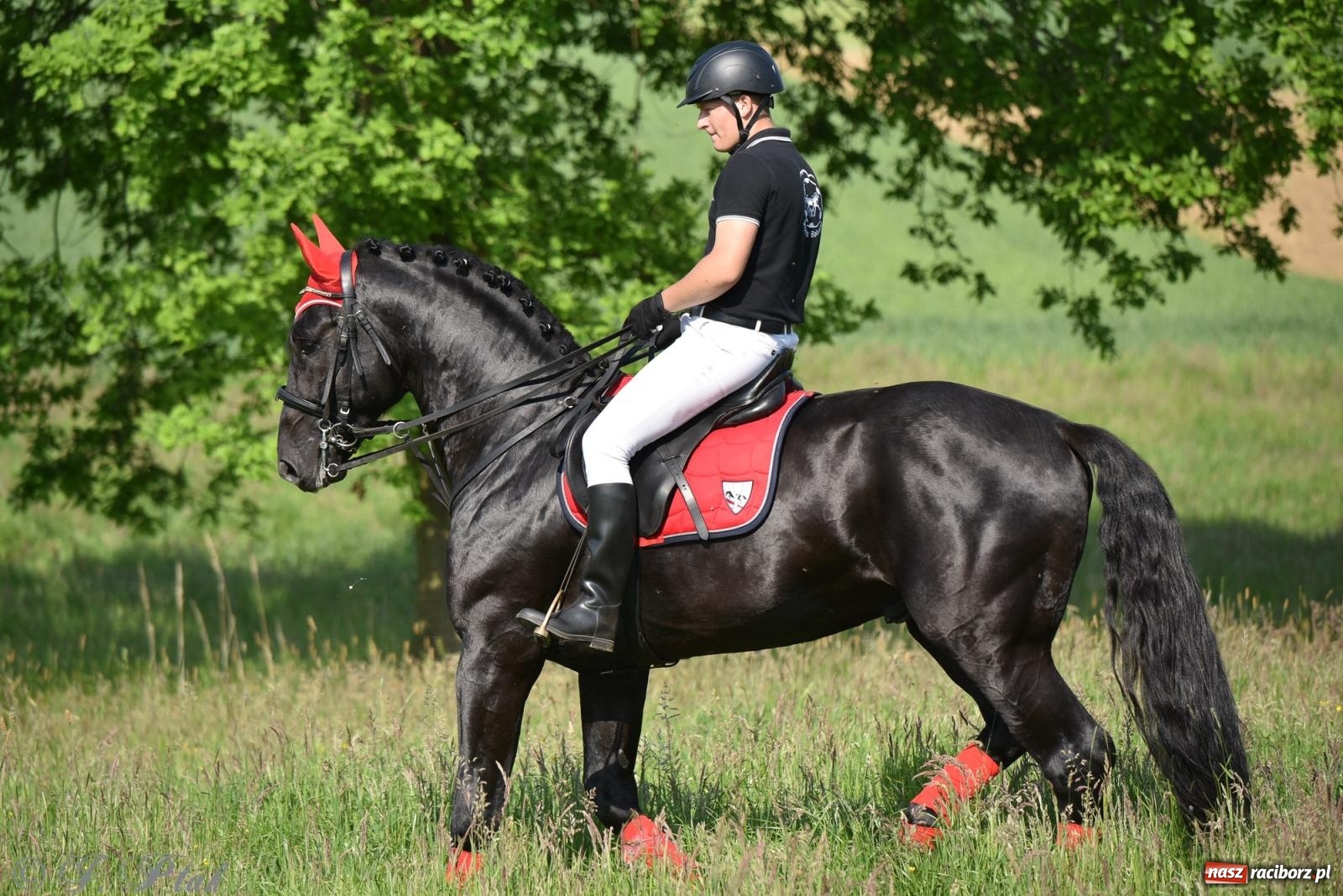 Zdjęcie w galerii na portalu naszraciborz.pl: Na pamiątkę wielkiego gradobicia. 147. procesja w Pogrzebieniu [FOTO i WIDEO] wiadomości z regionu